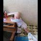Посмотреть