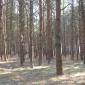 Посмотреть