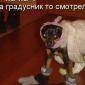 Посмотреть