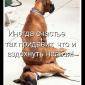 Посмотреть