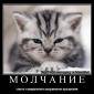 Посмотреть