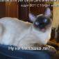 Посмотреть