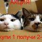 Посмотреть