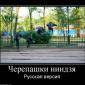 Посмотреть